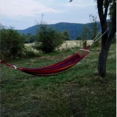 Apartment Pavle I Dora Tara *