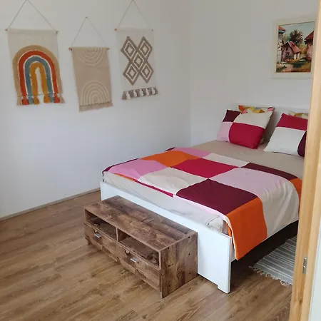 Pavle I Dora Tara Apartment