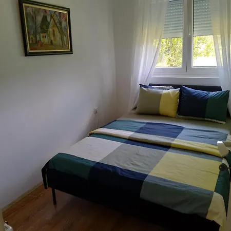 Pavle I Dora Tara Apartment